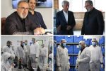 چالش‌های بین‌نهادی؛ مانعی پیش‌روی تولید در منطقه ویژه اقتصادی پیام