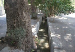 نجات باغات تاریخی کلاک از خشکیدگی